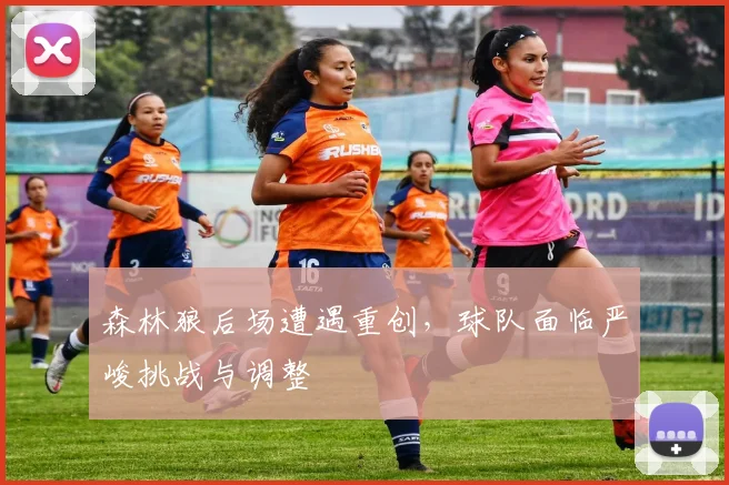 森林狼后场遭遇重创，球队面临严峻挑战与调整