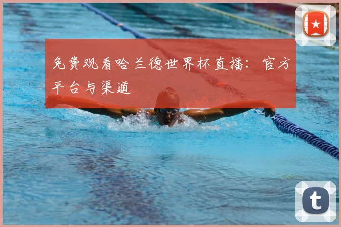 免费观看哈兰德世界杯直播:官方平台与渠道