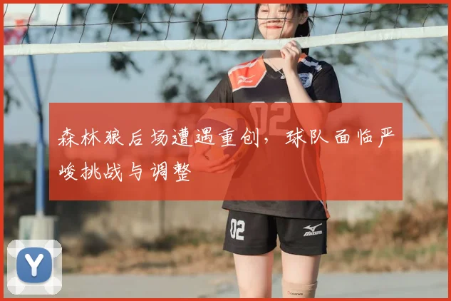 森林狼后场遭遇重创，球队面临严峻挑战与调整